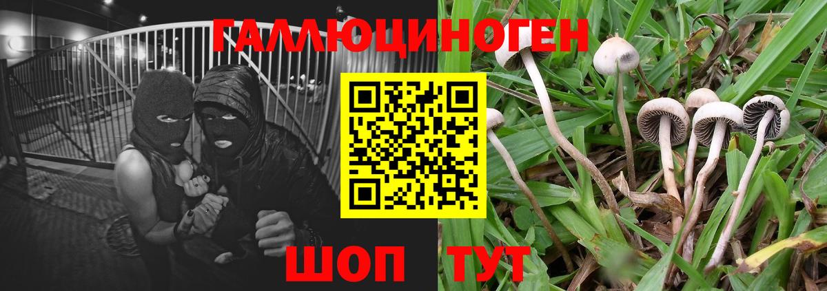 Галлюциногенные грибы MAGIC MUSHROOMS Дюртюли